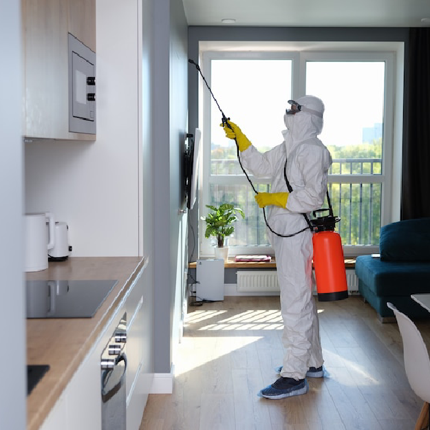 Pest Control Services